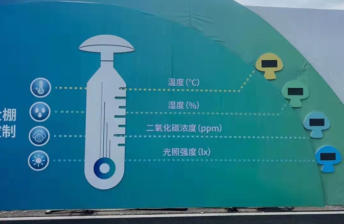 ߺԶϵͳ