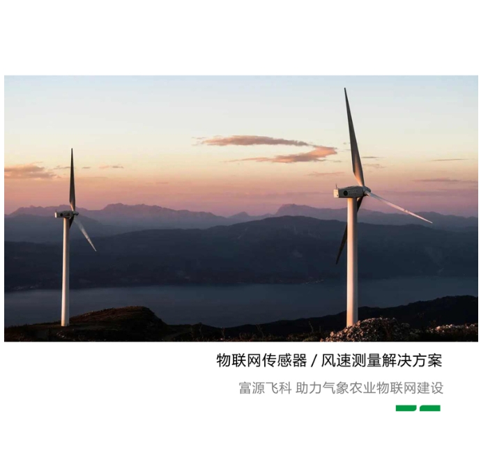 紫ҳ2023